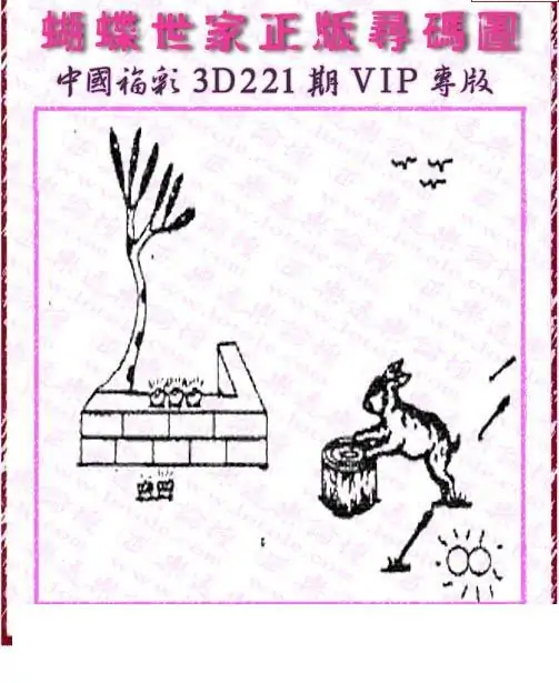 25221期: 3D蝴蝶世家蝴蝶彩图