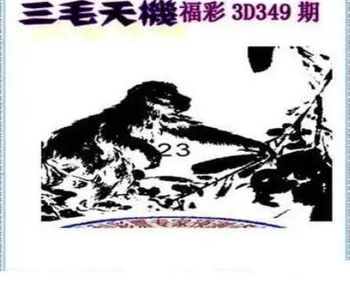 25349期: 三毛3D精品图谜