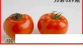 26089期: 白老3D杀码图版