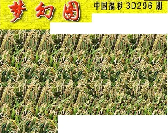 25296期: 3D蝴蝶世家蝴蝶彩图