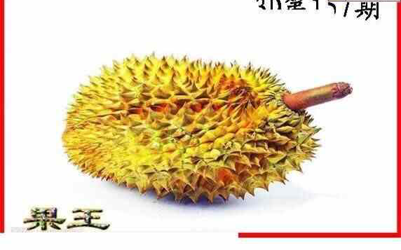 24157期: 白老3D杀码图版