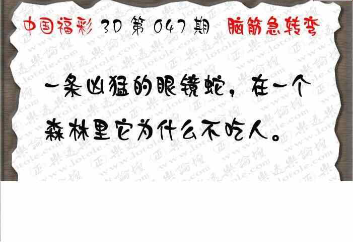 25047期: 3D蝴蝶世家蝴蝶彩图