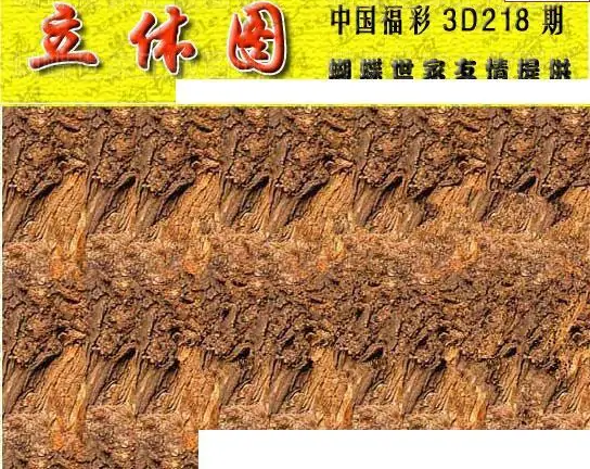 25218期: 3D蝴蝶世家蝴蝶彩图