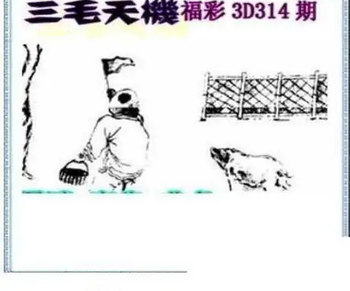 25314期: 三毛3D精品图谜