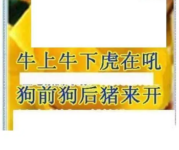 26028期: 三毛3D精品图谜