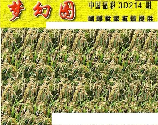 25214期: 3D蝴蝶世家蝴蝶彩图