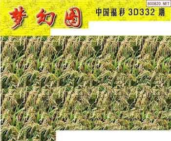 25332期: 3D蝴蝶世家蝴蝶彩图