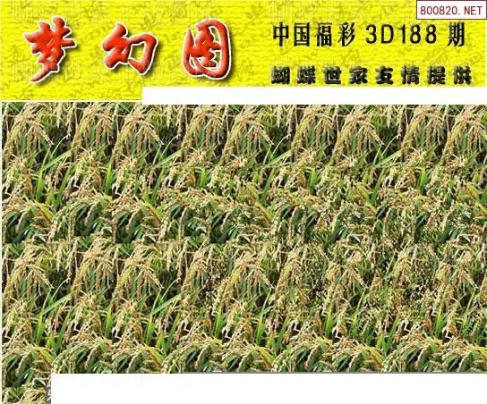 25188期: 3D蝴蝶世家蝴蝶彩图