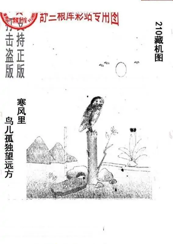 25210期: 老村长福彩3D天天图谜