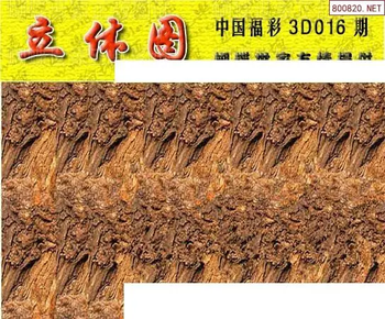 26016期: 3D蝴蝶世家蝴蝶彩图