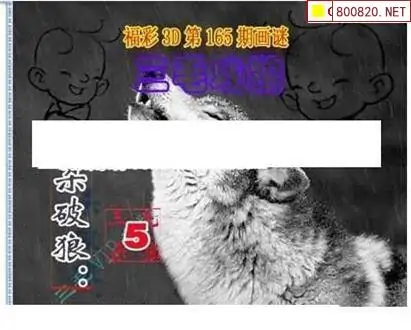 25165期: 三毛3D精品图谜