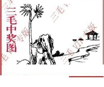 26102期: 三毛3D精品图谜