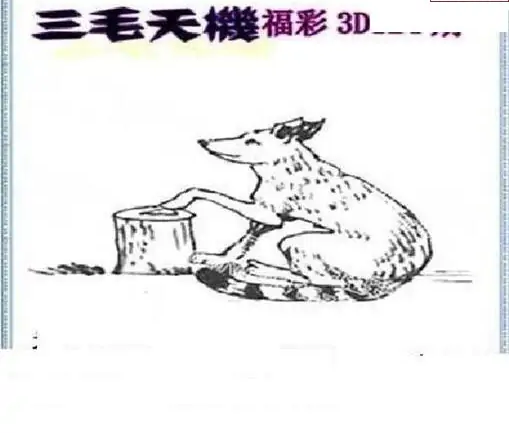 25124期: 三毛3D精品图谜