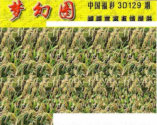 24129期: 3D蝴蝶世家蝴蝶彩图