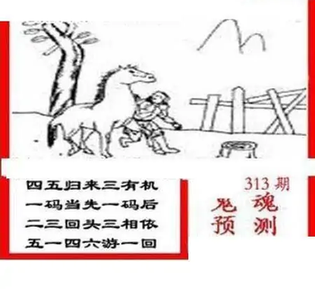 25313期: 三毛3D精品图谜