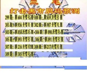 25309期: 三毛3D精品图谜