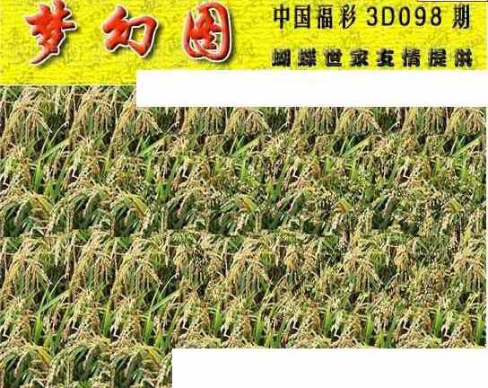 24098期: 3D蝴蝶世家蝴蝶彩图