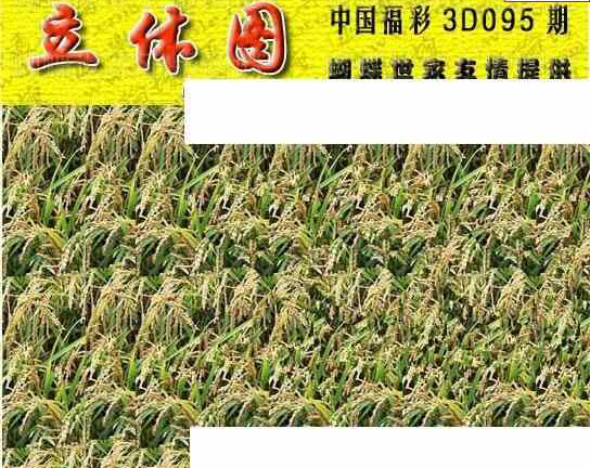 24095期: 3D蝴蝶世家蝴蝶彩图