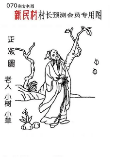 26070期: 老村长福彩3D天天图谜