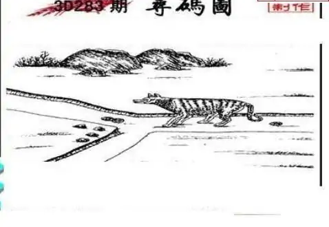 25283期: 三毛3D精品图谜