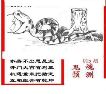 26015期: 三毛3D精品图谜