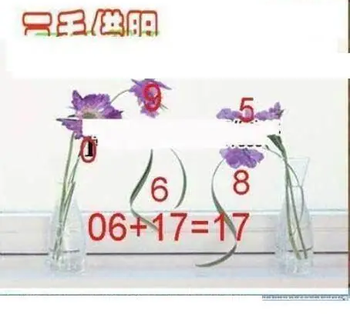 26083期: 三毛3D精品图谜