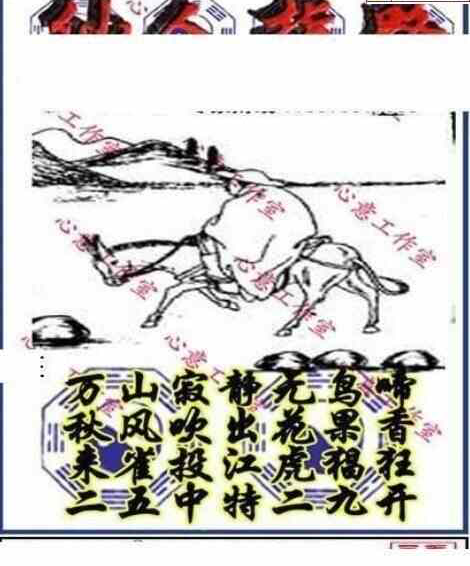 24068期: 三毛3D精品图谜