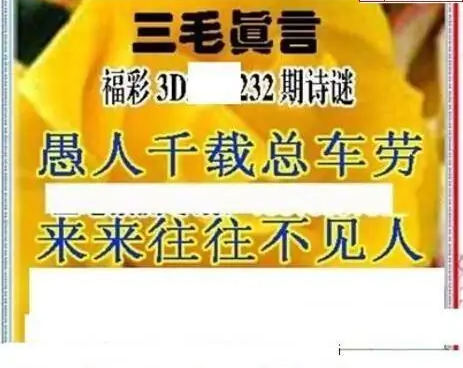 25232期: 三毛3D精品图谜