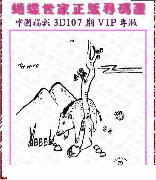 24107期: 3D蝴蝶世家蝴蝶彩图