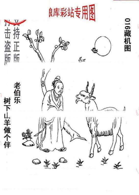 25016期: 老村长福彩3D天天图谜