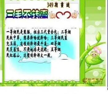 25349期: 三毛3D精品图谜