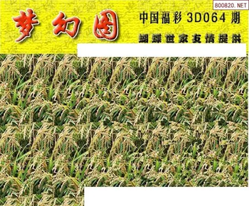 26064期: 3D蝴蝶世家蝴蝶彩图