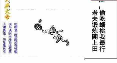 24218期: 白老3D杀码图版