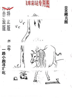 26006期: 老村长福彩3D天天图谜