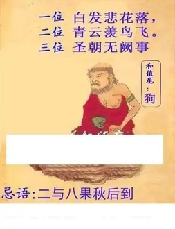 25309期: 白老3D杀码图版