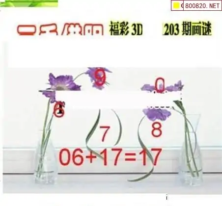 25203��: ��ë3D��Ʒͼ��