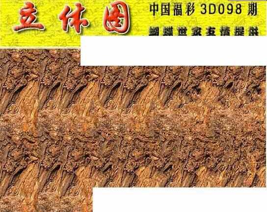 24098期: 3D蝴蝶世家蝴蝶彩图