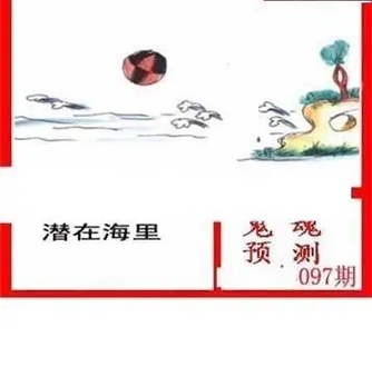 26097期: 白老3D杀码图版