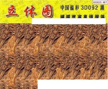 26092期: 3D蝴蝶世家蝴蝶彩图