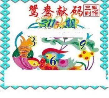 25311期: 三毛3D精品图谜