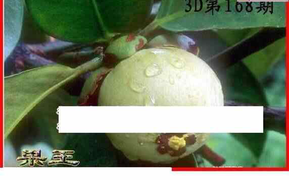 24168期: 白老3D杀码图版