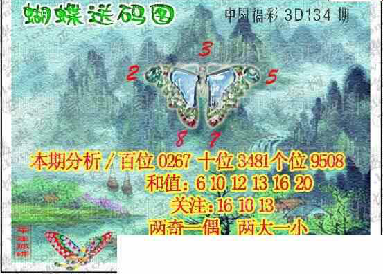 24134期: 3D蝴蝶世家蝴蝶彩图