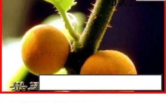 25266期: 白老3D杀码图版