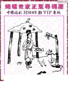 26049期: 3D蝴蝶世家蝴蝶彩图