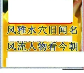 25342期: 三毛3D精品图谜