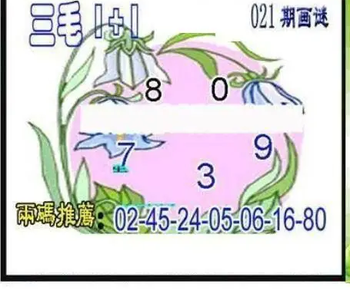 26021期: 三毛3D精品图谜