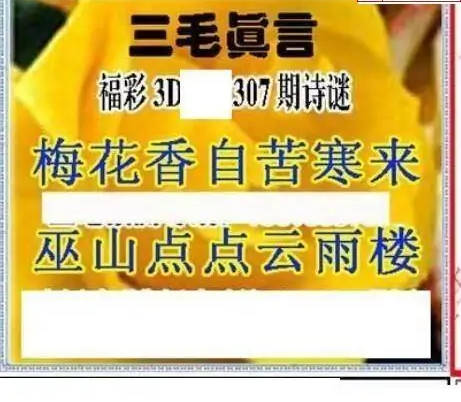 25307期: 三毛3D精品图谜