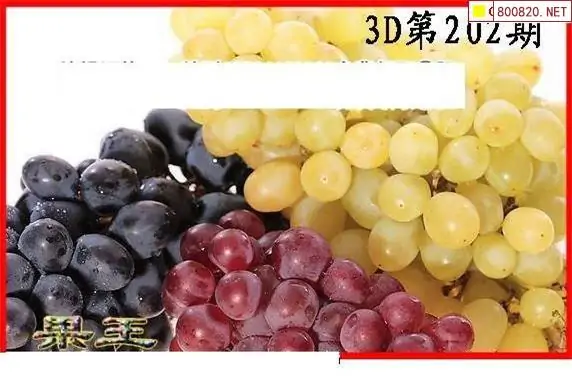 25202期: 白老3D杀码图版