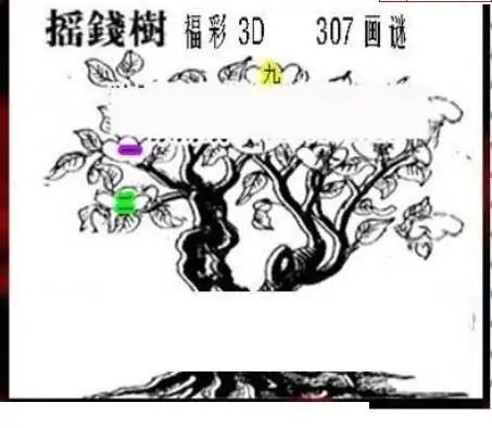 25307期: 三毛3D精品图谜