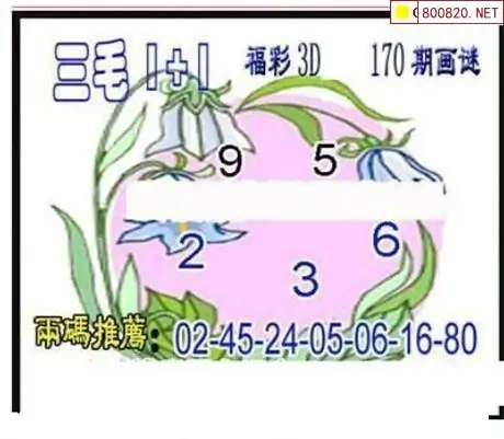 25170期: 三毛3D精品图谜